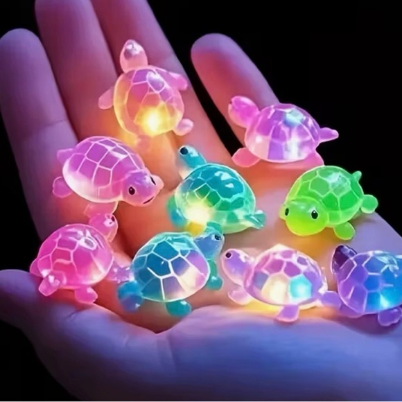 Colorful Turtle Toy Set - Picture 4 of 4